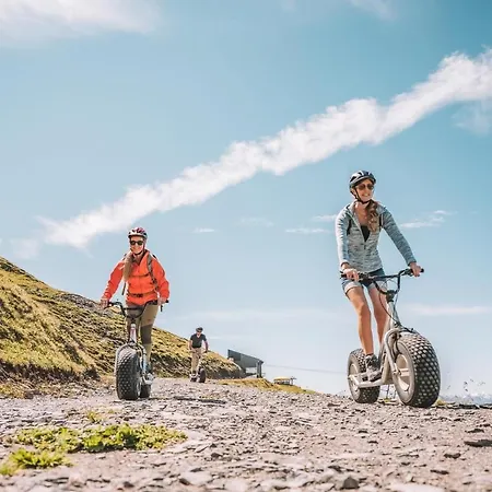 Thermal & Walliser Alpentherme 3* Лейкербад