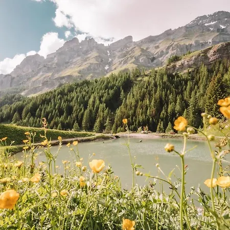 Otel Thermal & Walliser Alpentherme Leukerbad
