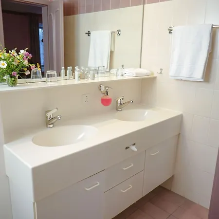 Thermal Hotels&walliser Alpentherme Hotel