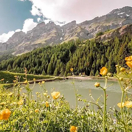 Otel Thermal & Walliser Alpentherme