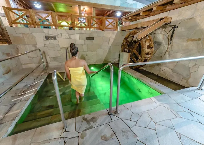 Thermal & Walliser Alpentherme Отель