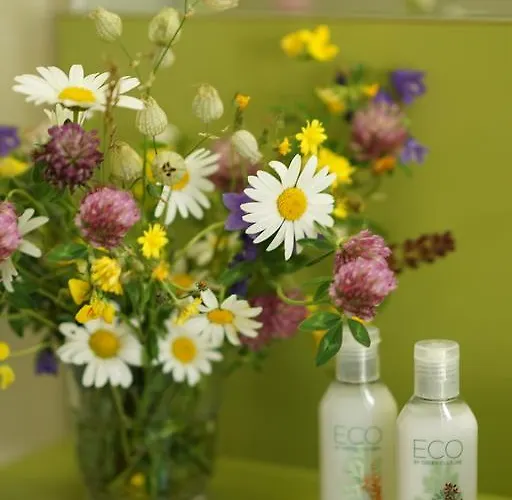 Thermal & Walliser Alpentherme Лойкербад