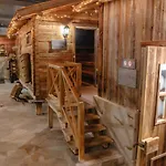 Thermal & Walliser Alpentherme 3* Лойкербад